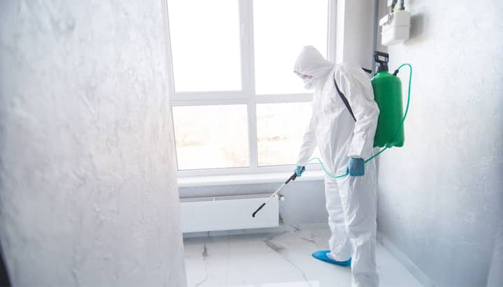 Mold Inspection Services in Baton Rouge